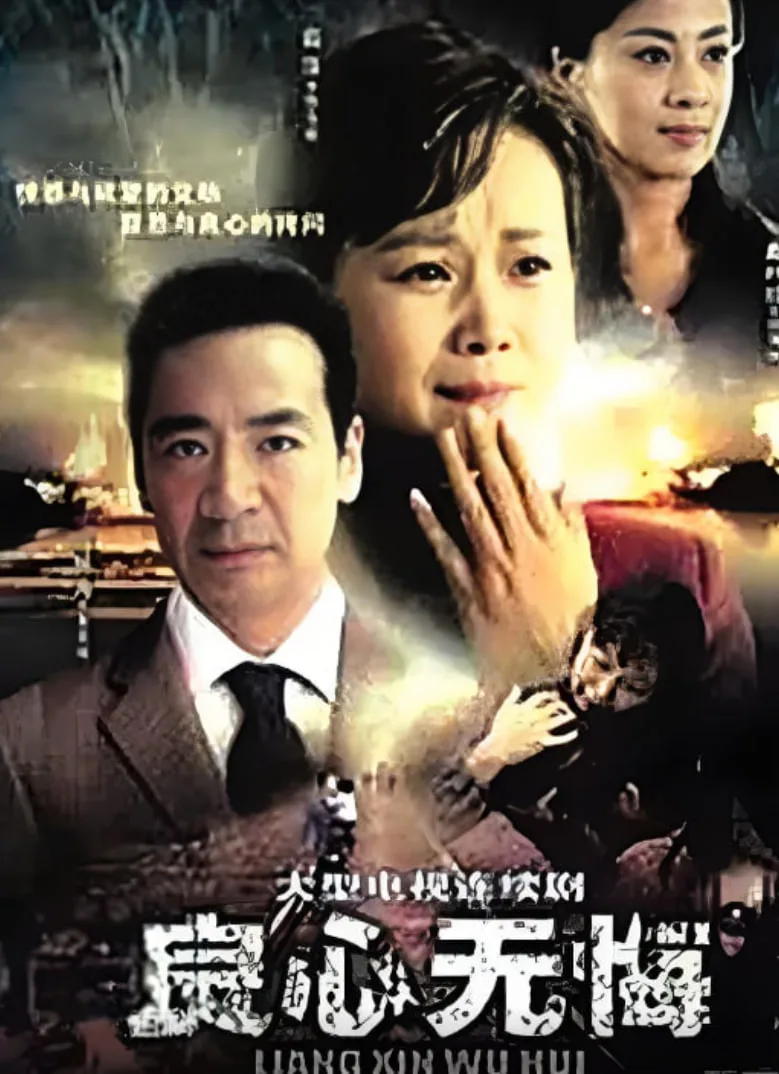 良心无悔海报